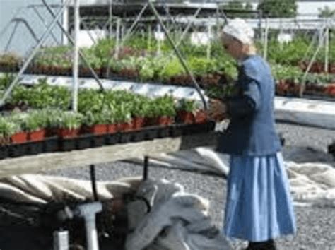 2000 ford f650 0600 mos jobs. . Mennonite greenhouses in northern iowa